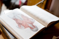 Anatomie Buch